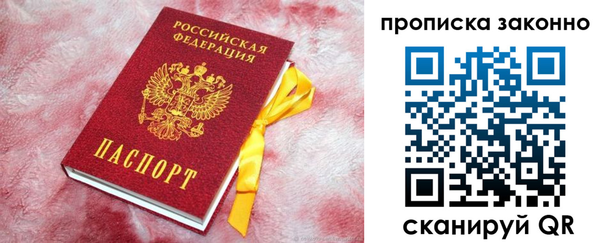 временная регистрация поиск в Амурской области